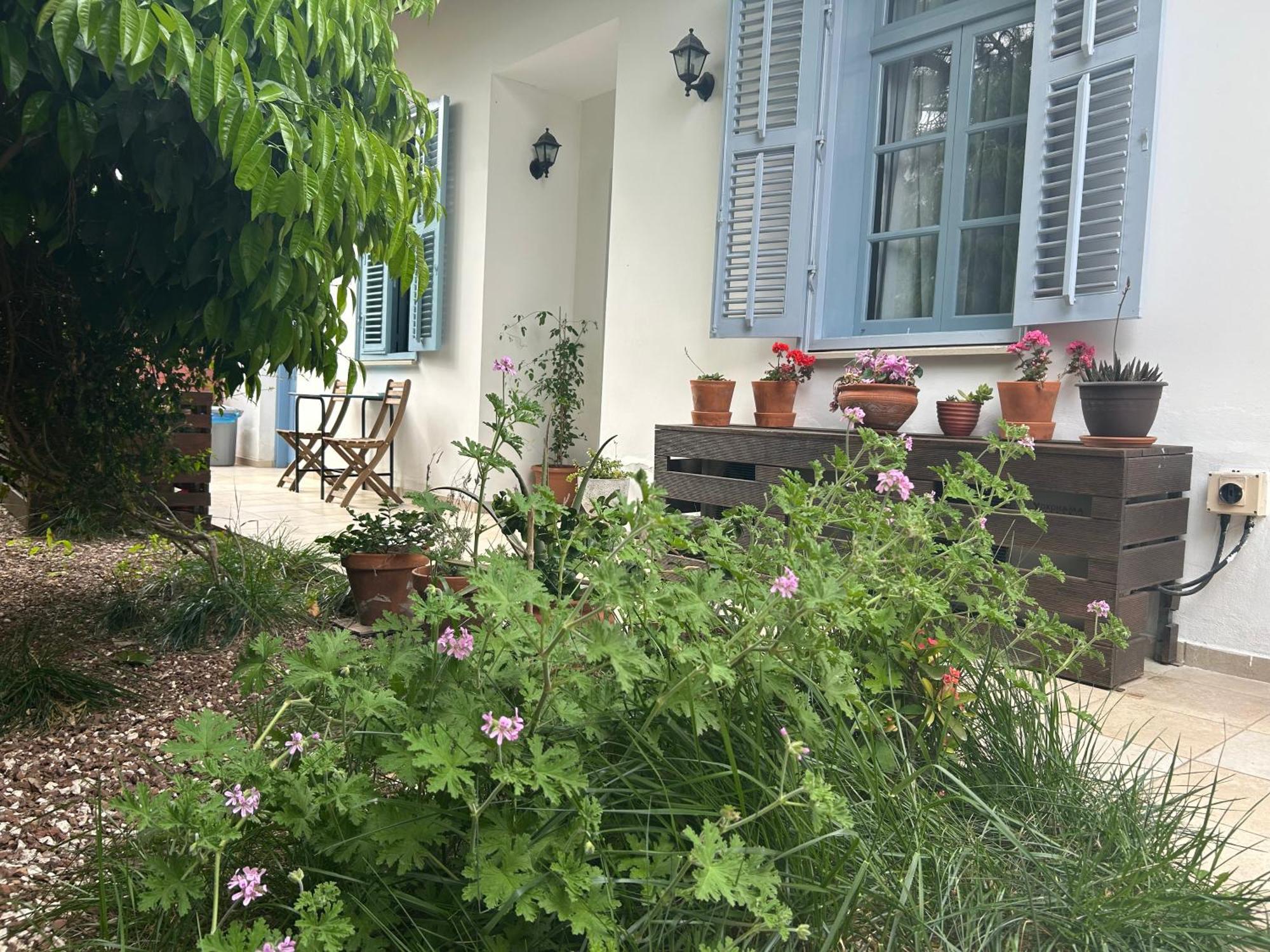Ananke Home Nicosia Exterior photo